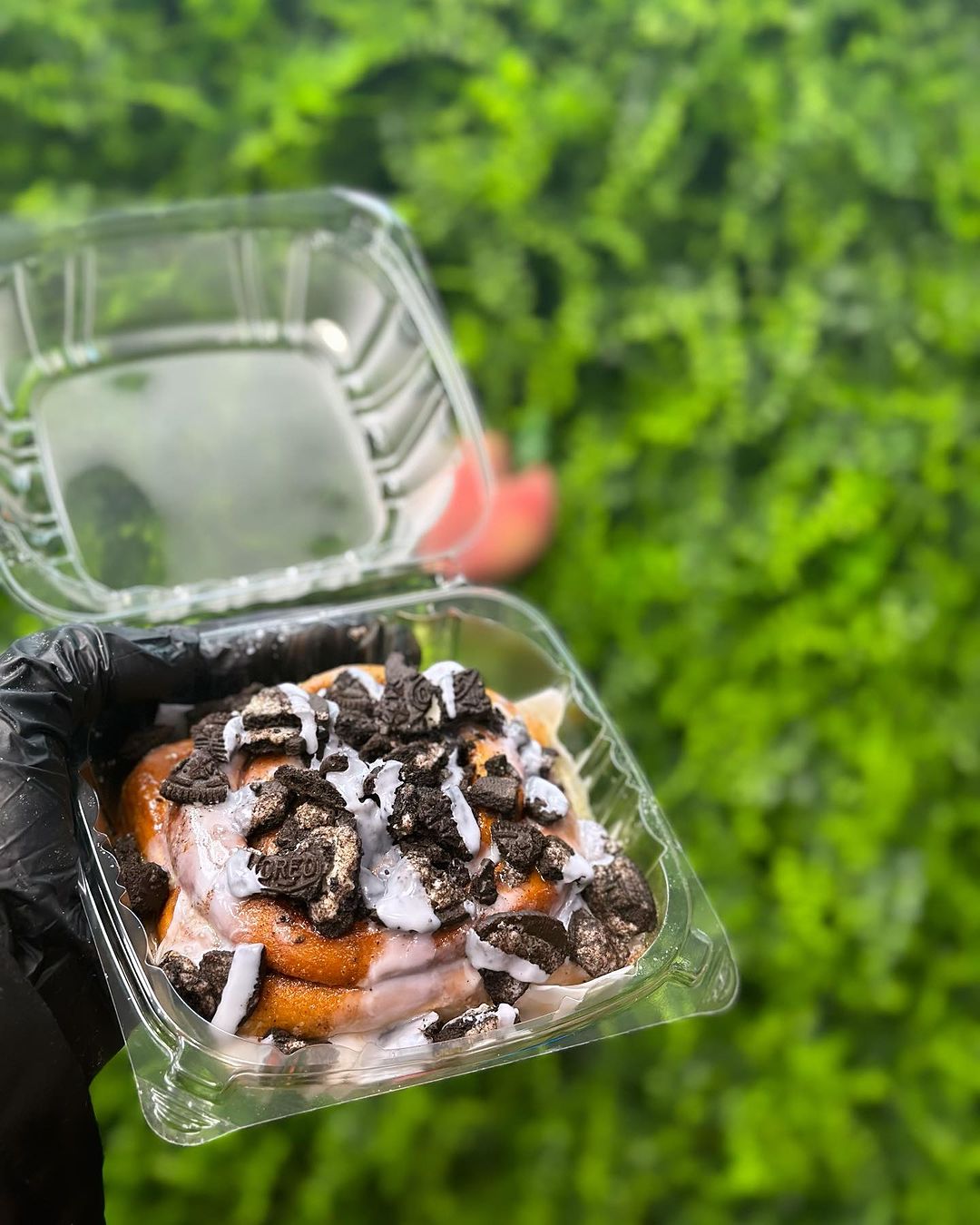 Disposable Containers - Canton Food Co.